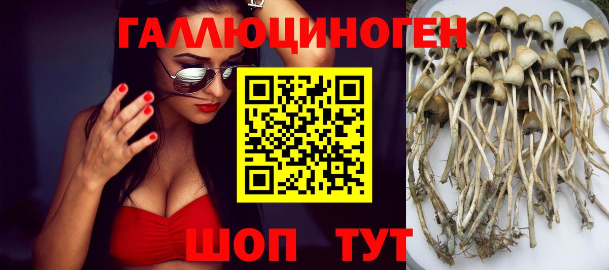 Галлюциногенные грибы мухоморы  закладка  Вход с VPN  Полысаево  Псилоцибиновые грибы Psilocybine cubensis 